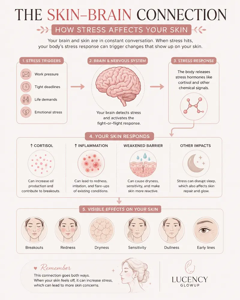 How stress affects the skin through the brain-skin connection